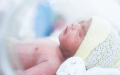 Regeringen vill inte ha en utredning av de sena aborterna