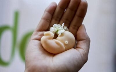 Vänstervriden media bidrar till slarvig snedvriden abortdebatt