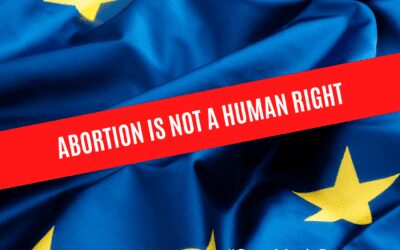 Var med i ett upprop till EU-parlamentariker!