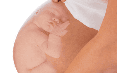 Vad anser politiska partier om abort?