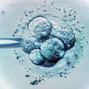 Surrogatmödraskap och abort - två sidor av samma mynt