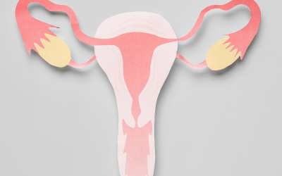 Bokrecension av ”Slaget om aborträtten”