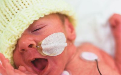 Uppdrag granskning och mirakelbebisarna