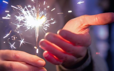 En tillbakablick på 2024