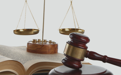 Vad har prolife-rörelsen gjort för att förhindra abort i grundlagen?